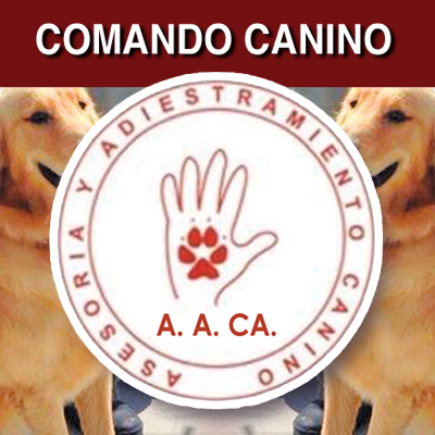 adiestramiento-canino-asesoria