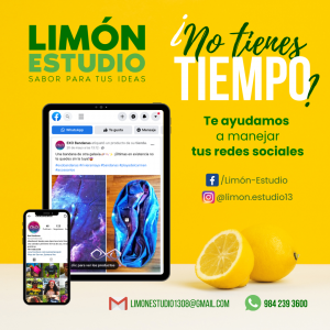 limon-estudio-junio-2022-marketing-publicidad-manejo-de-redes-almanaque-mx-tepeji-tula-playa
